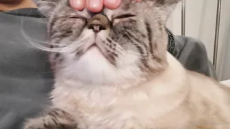 Yummy Yum Yum slut fucks bear