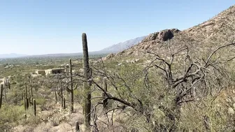 Stella Violet, stellaviolet, stellavioletxx Hot mare stripping in front of the camera