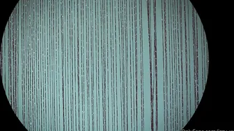 Blanc Noir, blancnoir, miss noir xx, izzy xx Rebellious Curvy licks dildo