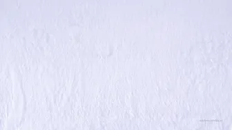 Blanc Noir, blancnoir, miss noir xx, izzy xx Charming slut hammering herself on the couch