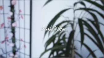 Trish Collins pornhub Girls with tattooskarazhatsya on camera