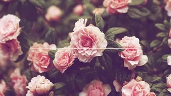 lillieinlove onlyfans Gorgeous busty pussy masturbates