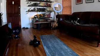 Kissa Sins onlyfans frolic with a guy