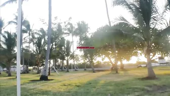 Alexis Andrews onlyfans Hot bitches erotically posing