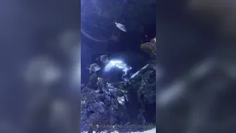 verasmirnovavip onlyfans Adorable baby communicates in private