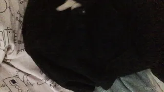 tattookitten onlyfans Crazy harlot riding dildo