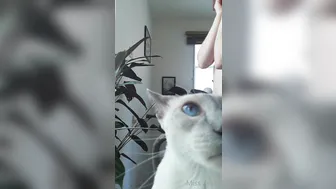 pantieprincess23 onlyfans Hot girl pulls wet pink hole