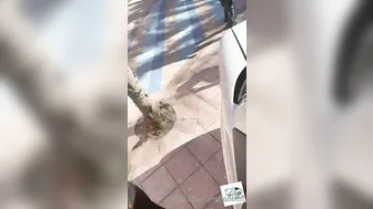 fanbus onlyfans Exquisite blond shows natural breasts