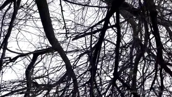 countrychristina onlyfans 1/12/2021 webcam video from CamSoda