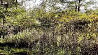 countrychristina onlyfans Spanish whore stretches her wet pink hole