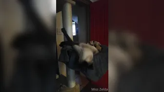 pantieprincess23 onlyfans Sexy babe nasal shaved holes