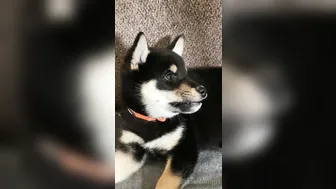 Jessica Nigri onlyfans kinky juicy slut masturbates for you