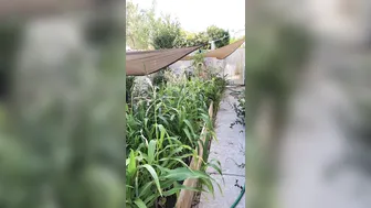 dani daniels onlyfans scrawny babe gets an orgasm online