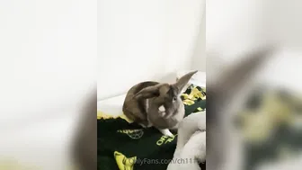 Chloe Spencer aka Ch111oe onlyfans Webmodel - jerks off and fucks her holes