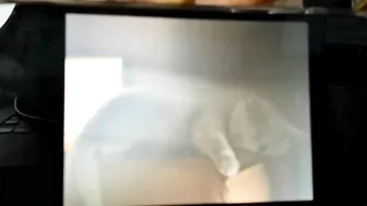 adysweet onlyfans Latin babe masturbates