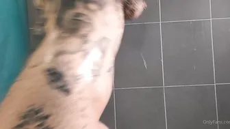 Laur_slutty_bby onlyfansen Brock aka ladylaur  bitch erotic licked in the bathroom