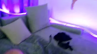 xxxxhub chaturbate Busty chick fucks her cunt with a strap.on