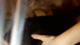 glitterglock chaturbate 27 March 2022 Newest camrecords 2022