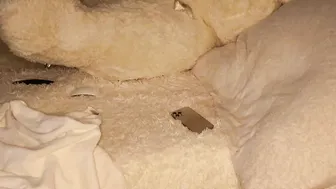 patry333 chaturbate Impressive ladies exchange juicy Cooney