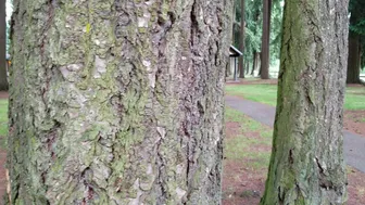 Embersnow onlyfans 22 February 2022