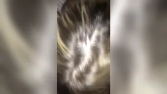 sexypolishvixen onlyfans Busty brunette girlfriend caresses her pussy in the workplace