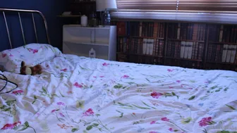 Miss Zelda aka pantieprincess23 onlyfans 1-03-2022 Newest from chaturbate Camshow Porn