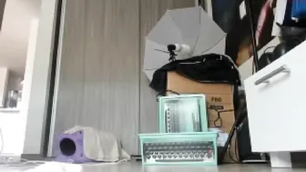 vanandjuani Cute bitch masturbates pussy with vibrator