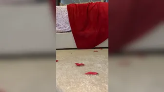 ChynaHall onlyfans Gorgeous beast caresses the vagina with fingers