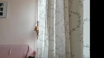 mia_looker chaturbate 28_02_2022 Camcording 2022
