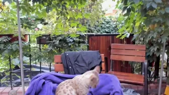 kristymack chaturbate Slender swell worth crustaceans