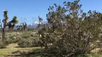 Capri Cavanni aka capricavanni onlyfans Sexy babe undresses on camera