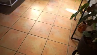 Evelyn aka evelynuncovered onlyfans 27 March 2022 broadcast