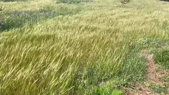 lalliboop onlyfans 21-03-2022 performance Full ticket show