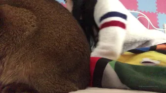 Maricahase onlyfans   busty amateur dildo