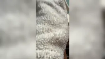 Honey Ecstasy onlyfans  loves her rubber toy