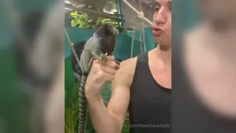 bwctravelvids onlyfans   lush babe pleases her pussy