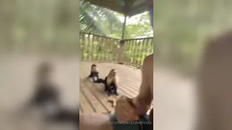 bwctravelvids onlyfans Record skin swaggers with sex toys