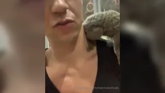 bwctravelvids onlyfans 25_02_2022 Latest May camrecords