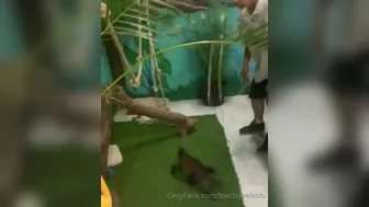 bwctravelvids onlyfans Hot tattooed masturbating pussy fingers