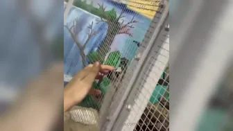 bwctravelvids onlyfans 3-03-2022 performance Latest May camrecords