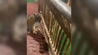 bwctravelvids onlyfans 24-01-2022 performance Camcording