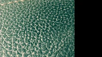 dillionharper onlyfans 13-03-2022 performance