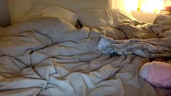 shygirllxo chaturbate free cam videos June-26-2022