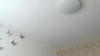 kissofacobra chaturbate Porn webcam May-5-2022