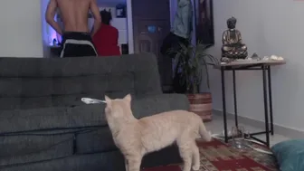 fratguysonline chaturbate 20-03-2022 performance Camcording