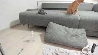 honey_sunshine chaturbate 29_03_2022022 Full ticket show