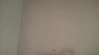 candyskys chaturbate pussy fingering pussy