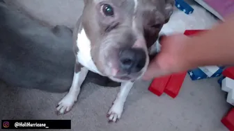 holihurricane chaturbate 24-02-2022 performance Latest Porn