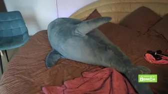 pussy_m0ney_weed chaturbate 5 january 2022 Full ticket show