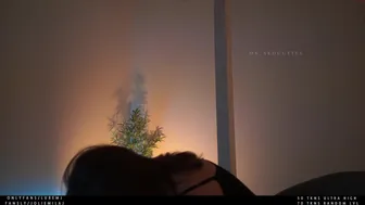 ms_seductive chaturbate Latest June 2022 video 43